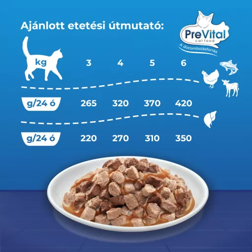 PreVital teljes értékű állateledel felnőtt macskák számára szószban 48 x 100 g