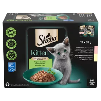 Sheba alutasakos macskaeledel 12x85g kitten mix