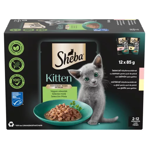 Sheba alutasakos macskaeledel 12x85g kitten mix