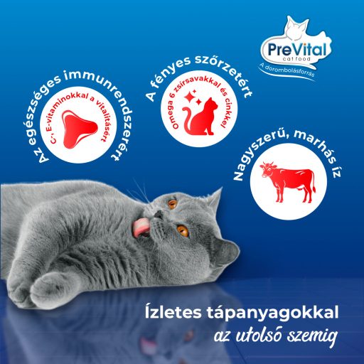 PreVital teljes értékű állateledel felnőtt macskák számára marhával 1,4 kg