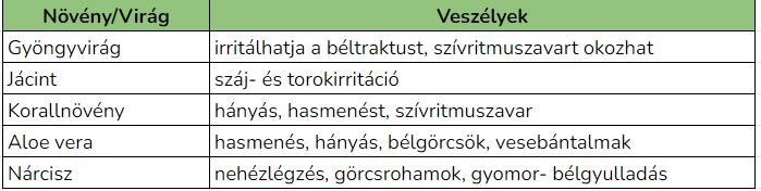 Mit nem ehet a kutya: táblázat is segítheti az eligazodást.