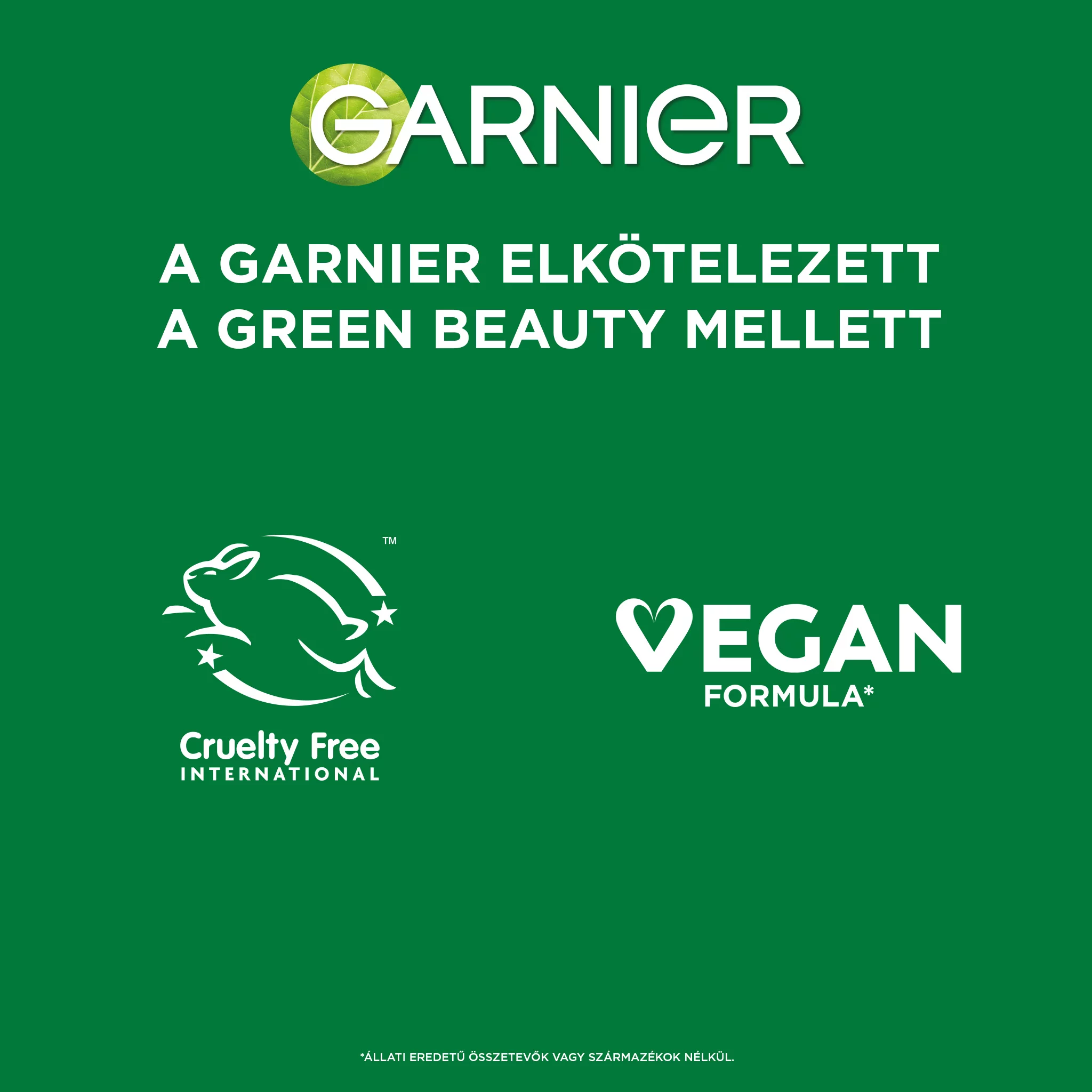 Garnier Ambre S. UV stick 9ml SPF50+
