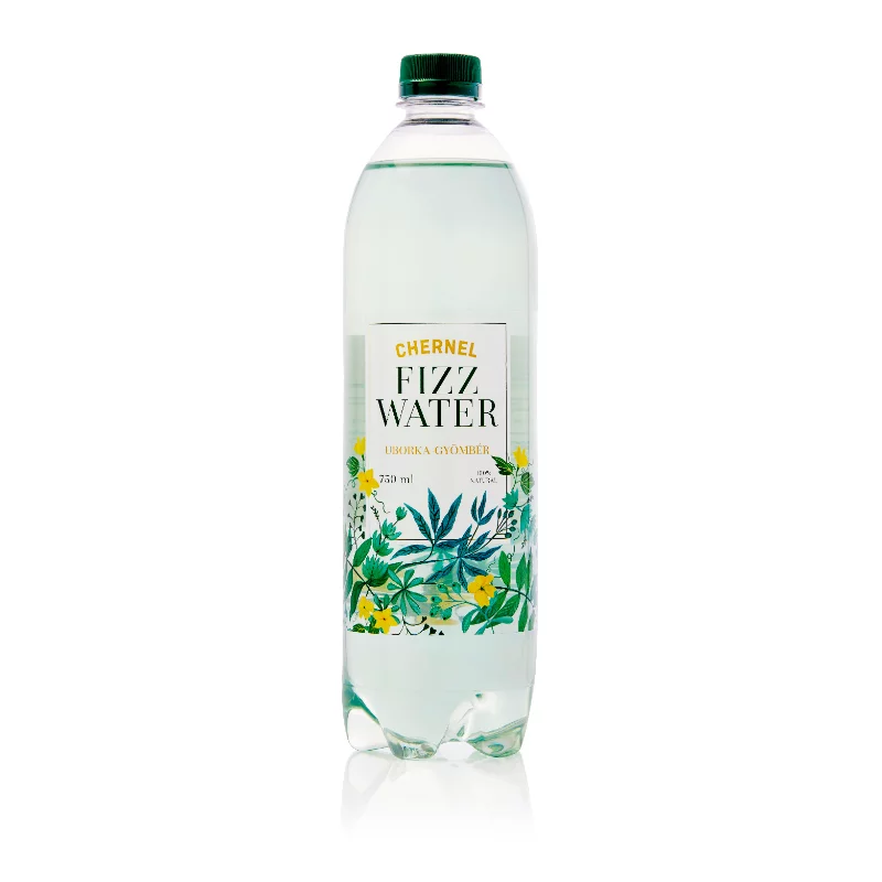 Fizz Water enyhén szénsavas üdítőital 0,75l Uborka-Gyömbér ízű