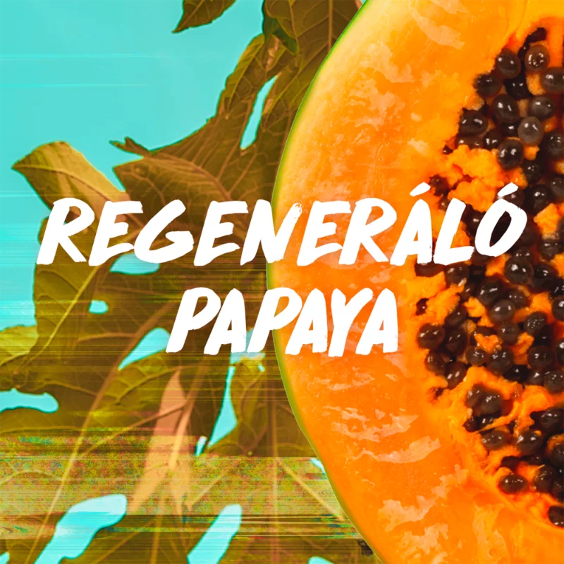 Garnier Fructis hajpakolás 400ml Papaya