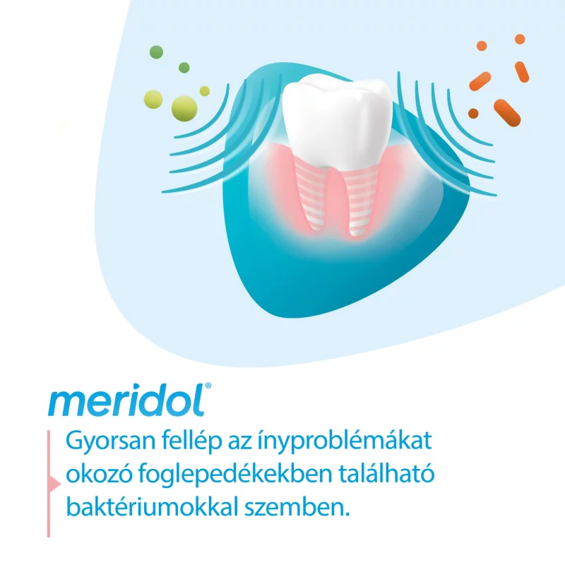 meridol Gum Protection fogkrém az íny védelmére és ínyvérzés ellen 75 ml