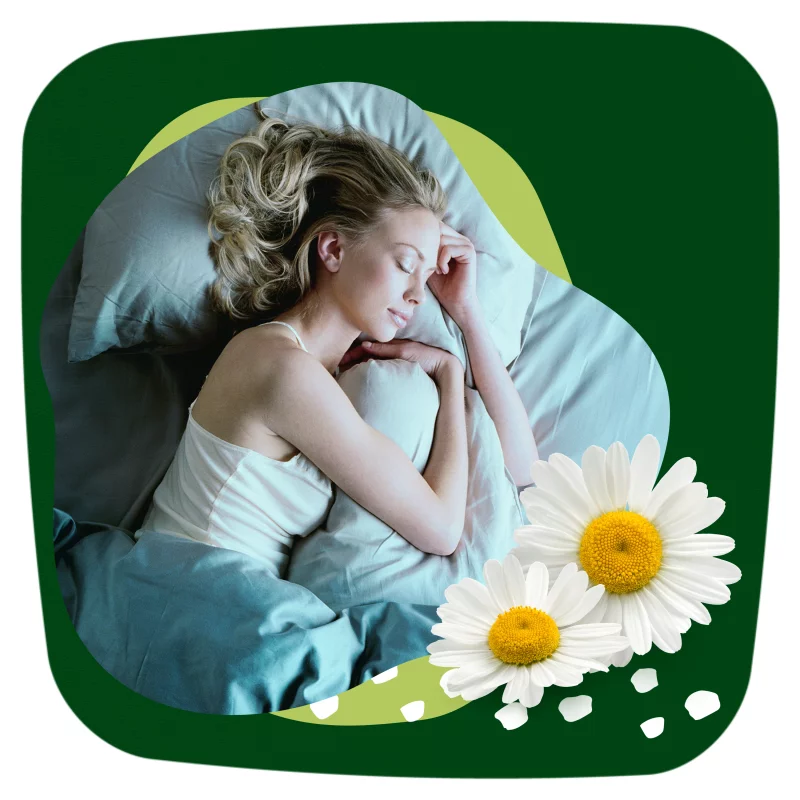 Naturella Classic Night Camomile Egészségügyi Betét szárnyas betét x7