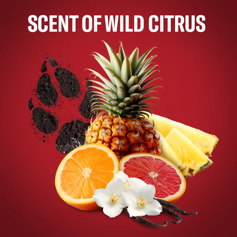 Old Spice Wolfthorn Stift Dezodor Férfiaknak, Alumíniummentes, 48 Órás Frissesség,  50 ml