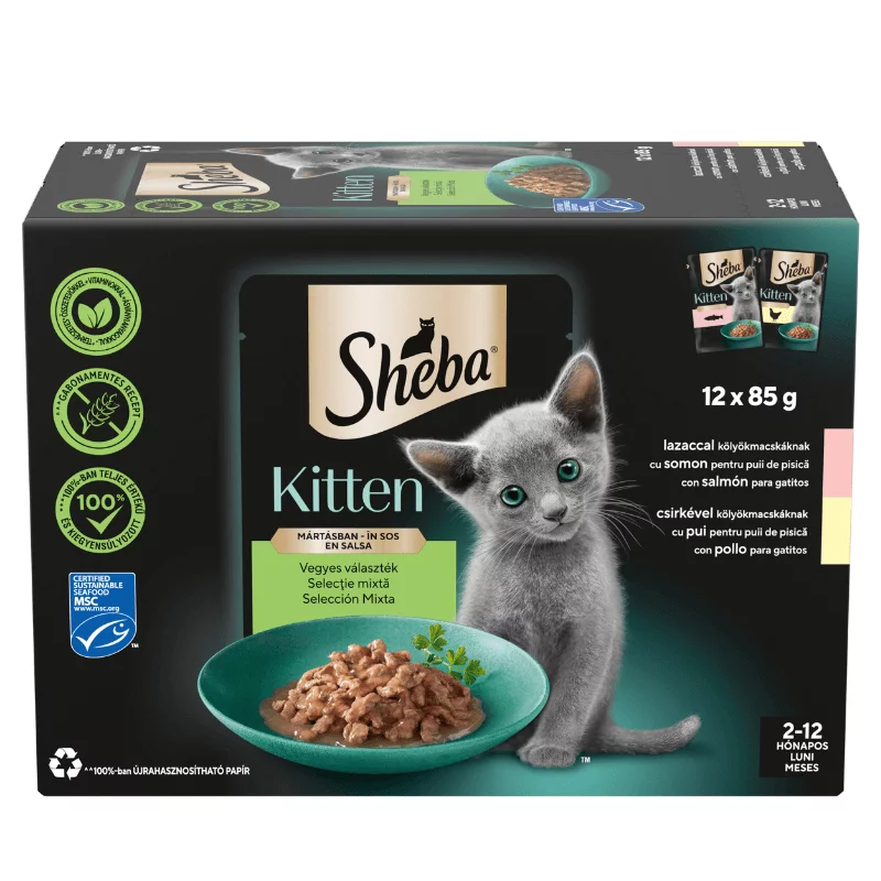 Sheba alutasakos macskaeledel 12x85g kitten mix