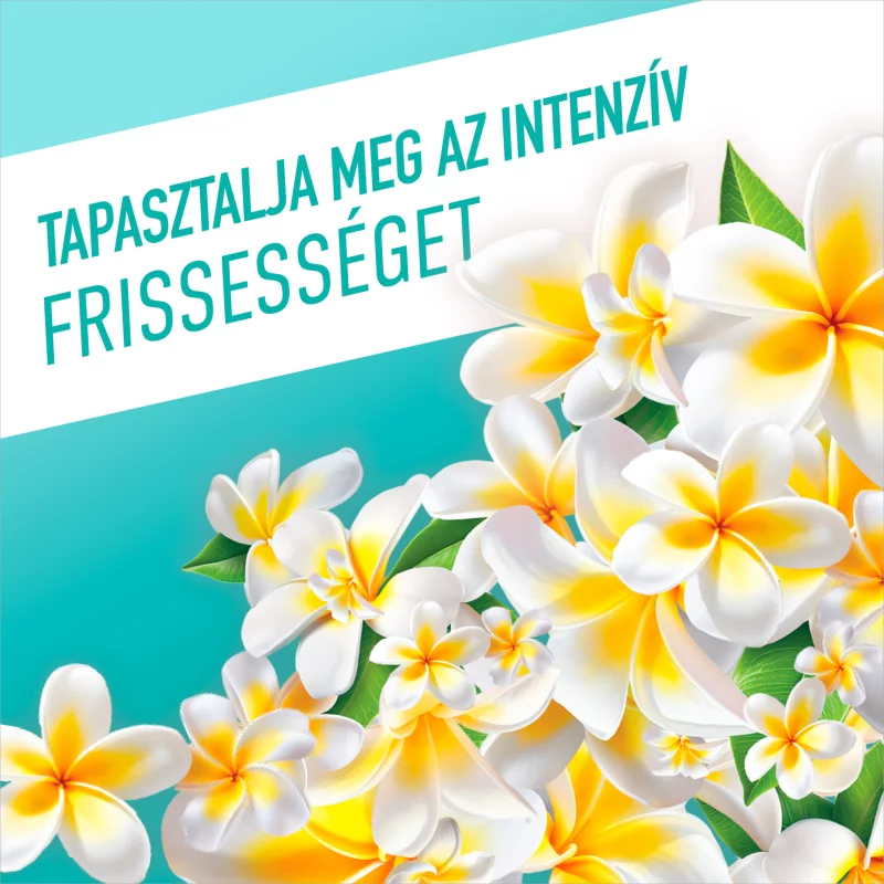 Ajax Flower Fiesta Lagoon Flowers Türkiz általános tisztítószer 1000 ml