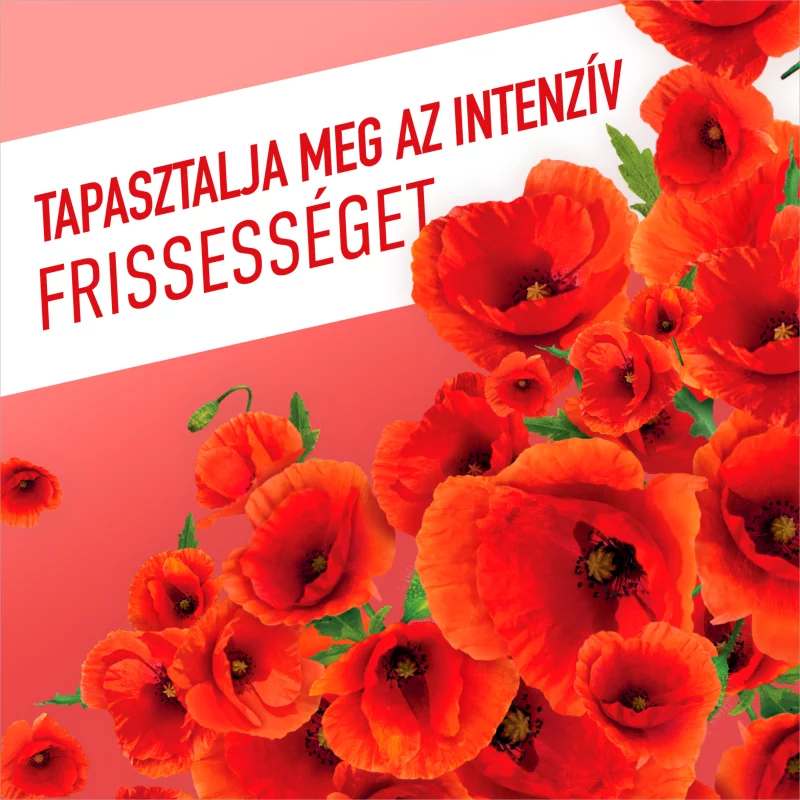 Ajax Flower Fiesta Pipacs Piros általános tisztítószer 1000 ml