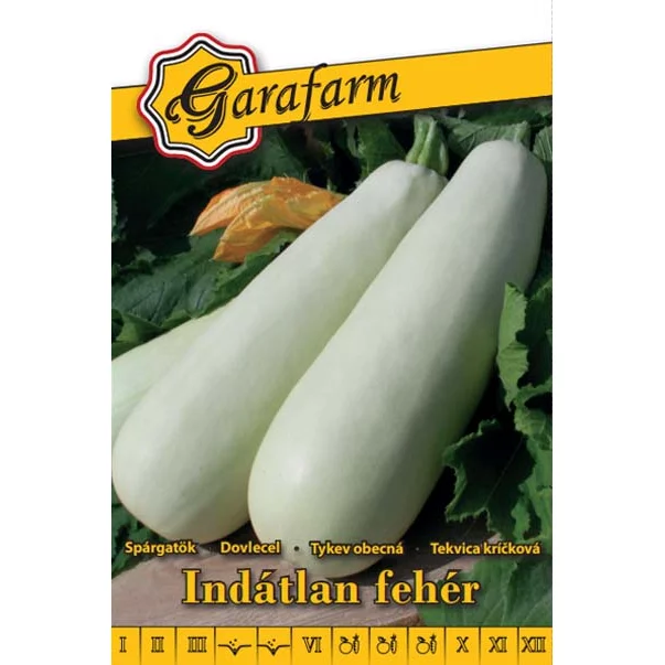 Garafarm vetőmag Indátlan fehér Spárgatök