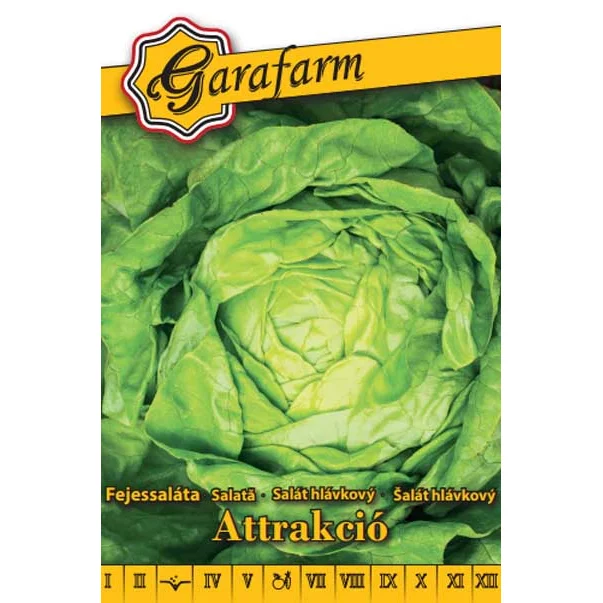 Garafarm vetőmag attrakció fejessaláta