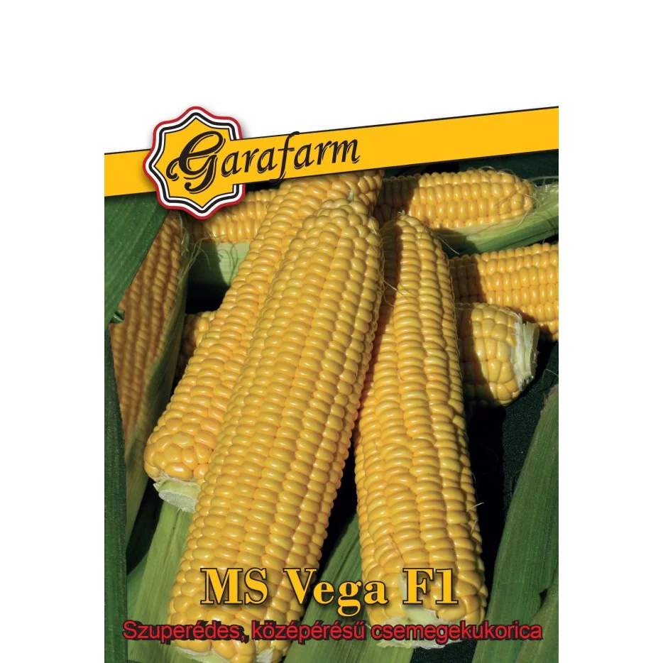 Garafarm vetőmag MS Vega F1 csemegekukorica