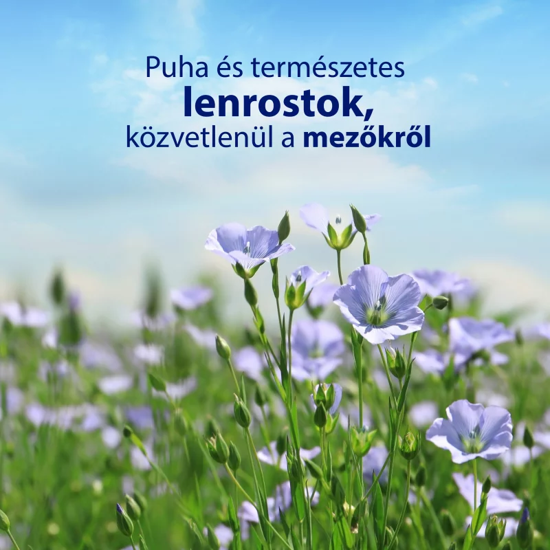 Zewa Magic Garden illatosított nedves toalettpapír 42 db