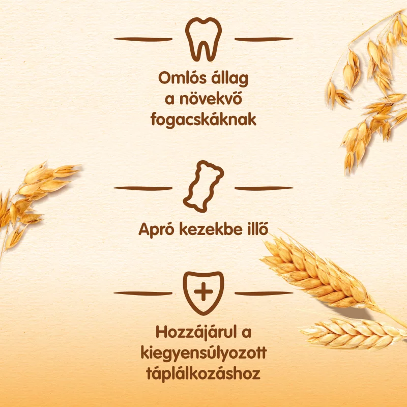 Nestlé babakeksz 6/9 hónapos kortól 180 g