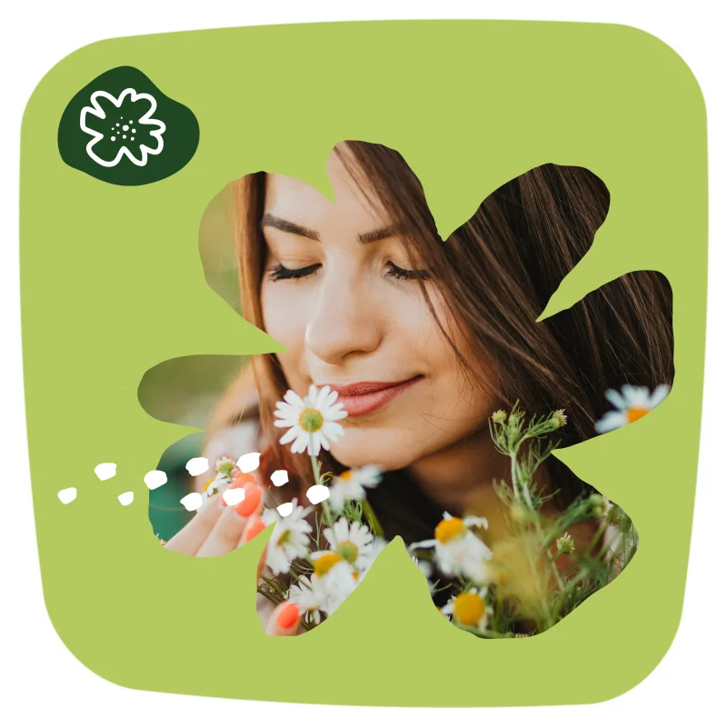 Naturella X Normal Camomile Tisztasági Betét44