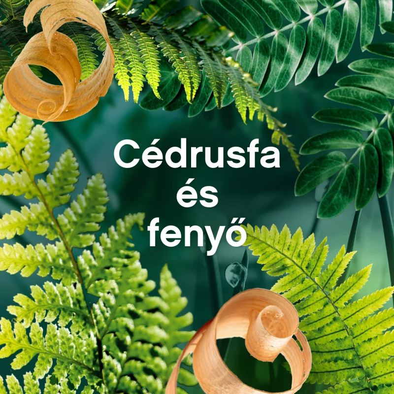 Lenor Textilöblítő 48 Cedar Wood & Pine Tree