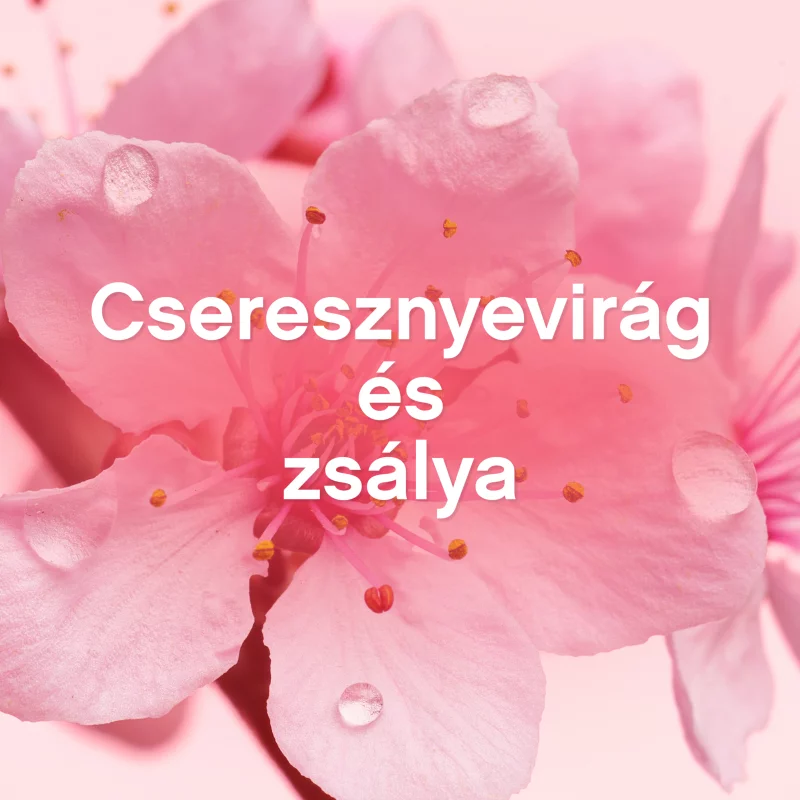 Lenor Textilöblítő 48 Cherry Blossom & Sage