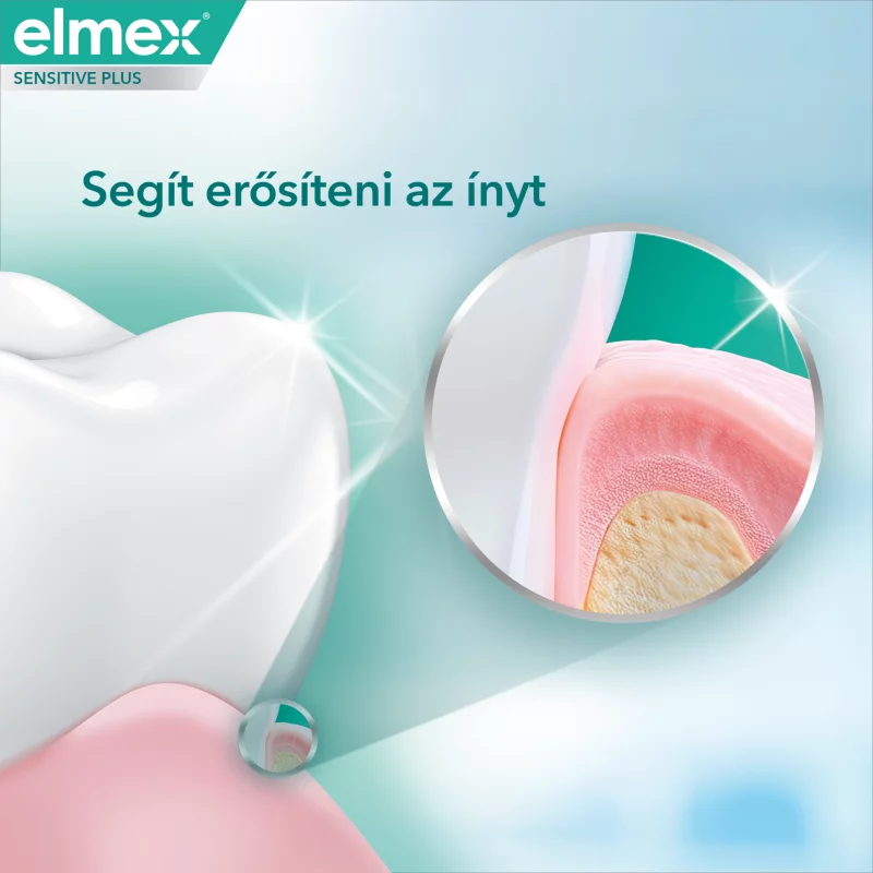 Elmex Sensitivity + Gum Care fogkrém érzékeny fogakra és ínyre 75 ml