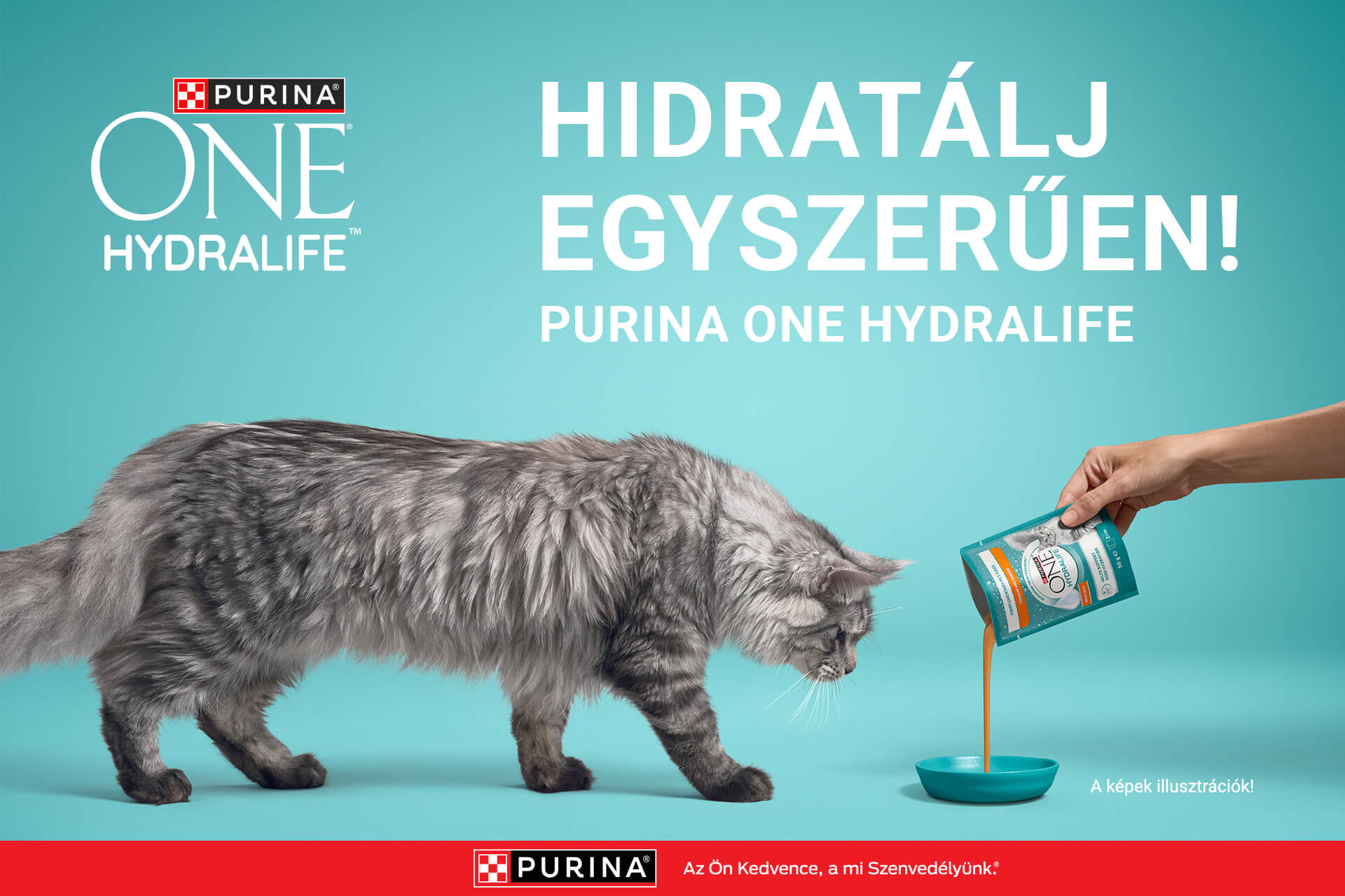 Eleget iszik a macskád?