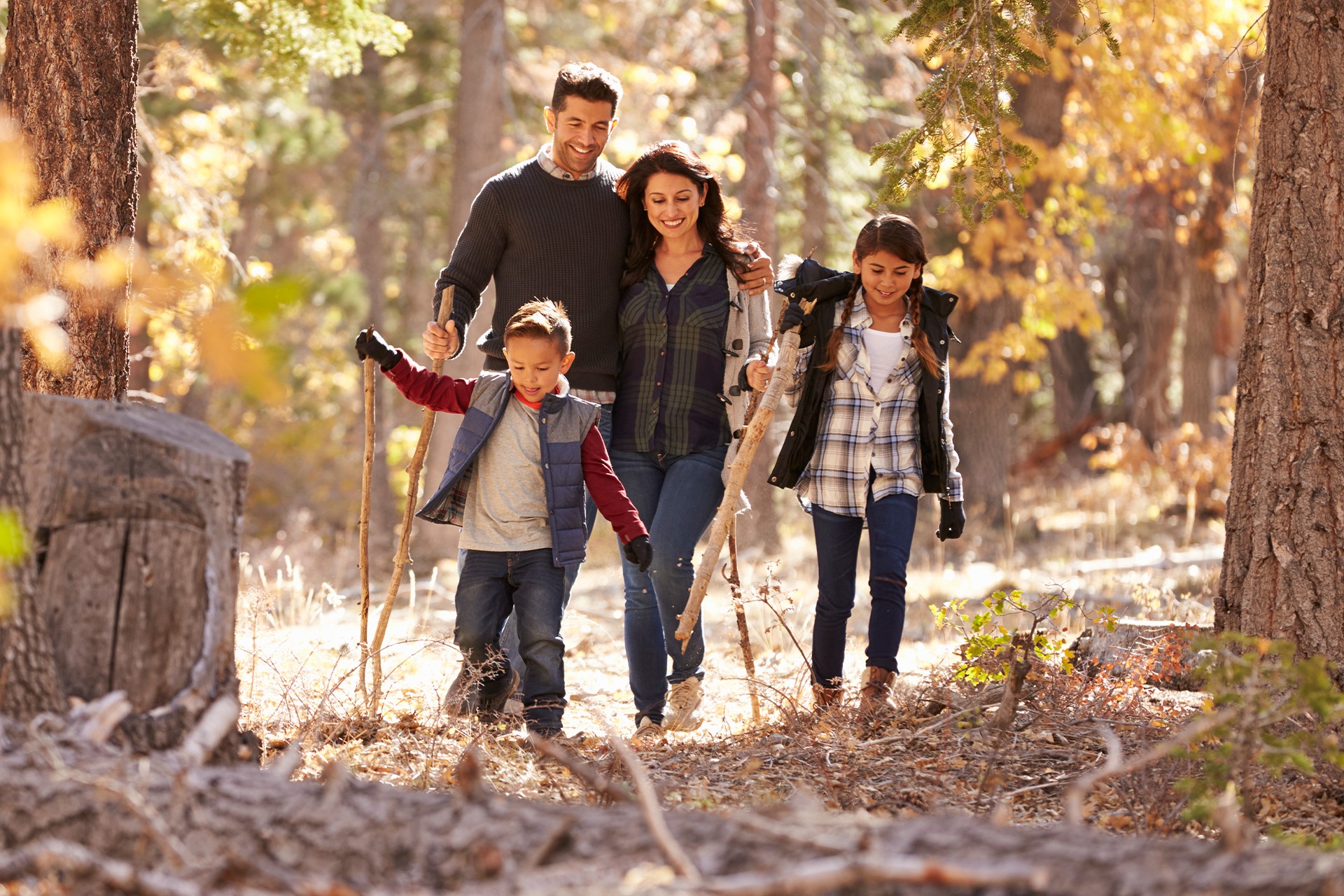 Ősz, erdő, gomba - Fedezzük fel a természet kincseit!