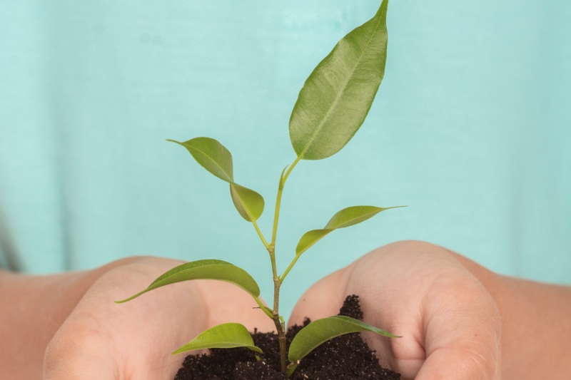 Mindig előre tekintünk