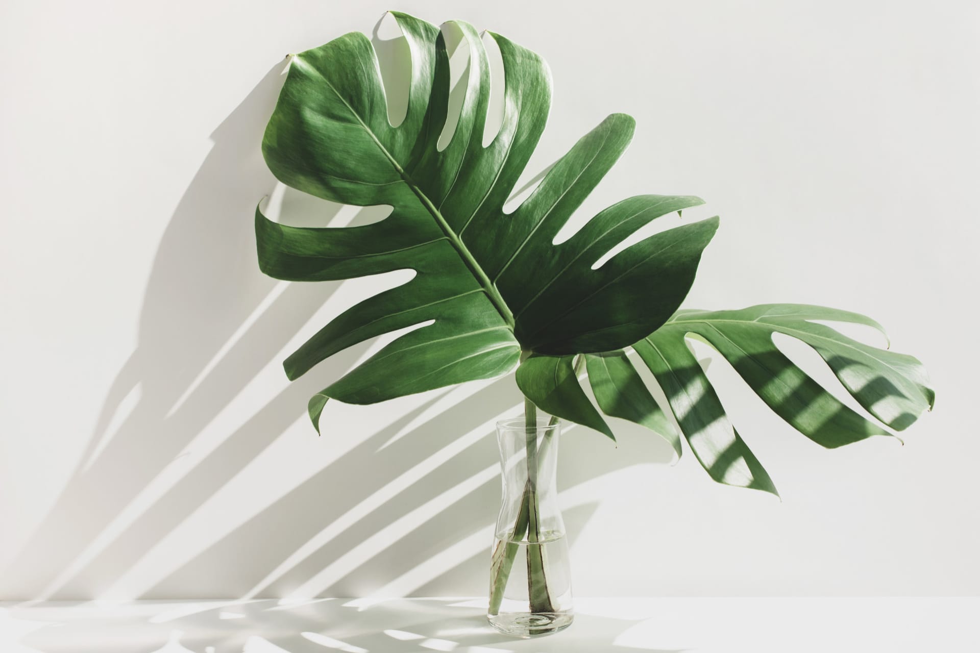 Minimalista életmód kezdőknek és haladóknak