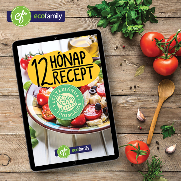 EcoFamily receptfüzet