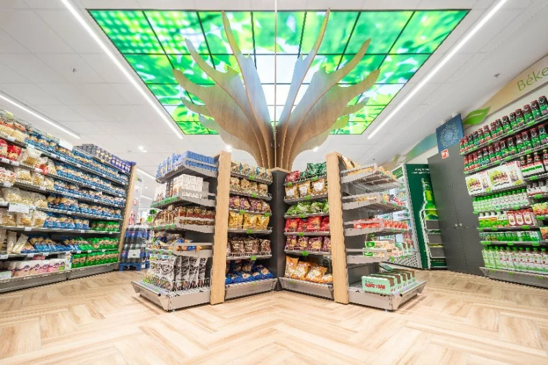 Ecofamily fa motívum